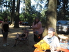 Images_from_camera2_015.jpg