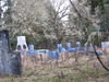 Filename=TrailsCountryPB_001.jpg
Filesize=286KB
Dimensions=640x480
Date added=Jan 08, 2009 TrailsCountryPB_001.jpg