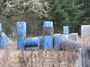 Filename=TrailsCountryPB_004.jpg
Filesize=255KB
Dimensions=640x480
Date added=Jan 08, 2009 TrailsCountryPB_004.jpg
