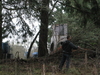Filename=TrailsCountryPB_020.jpg
Filesize=247KB
Dimensions=640x480
Date added=Jan 08, 2009 TrailsCountryPB_020.jpg