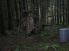 TrailsCountryPB_071.jpg